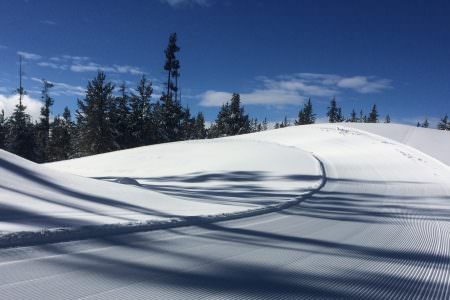 The Rendezvous Ski Trails