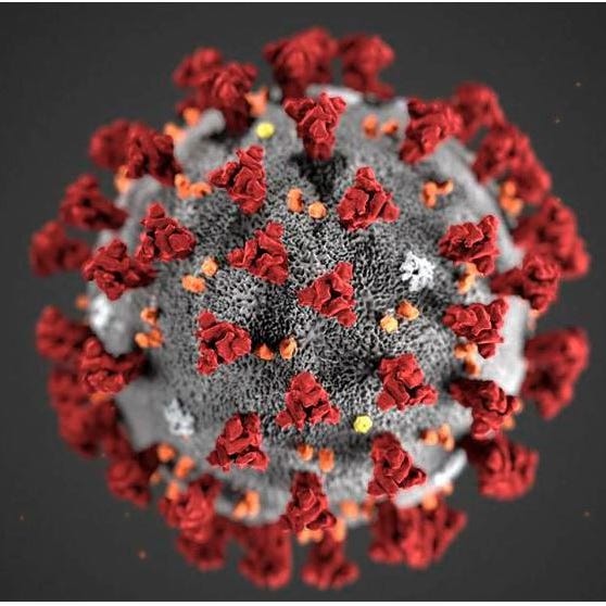 An illustration image of the novel coronavirus, COVID-19.